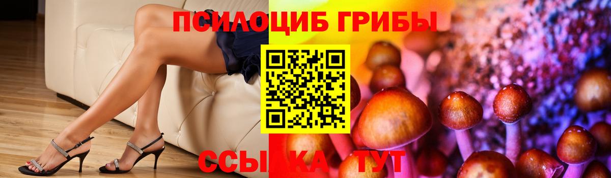 Псилоцибиновые грибы прущие грибы Домодедово